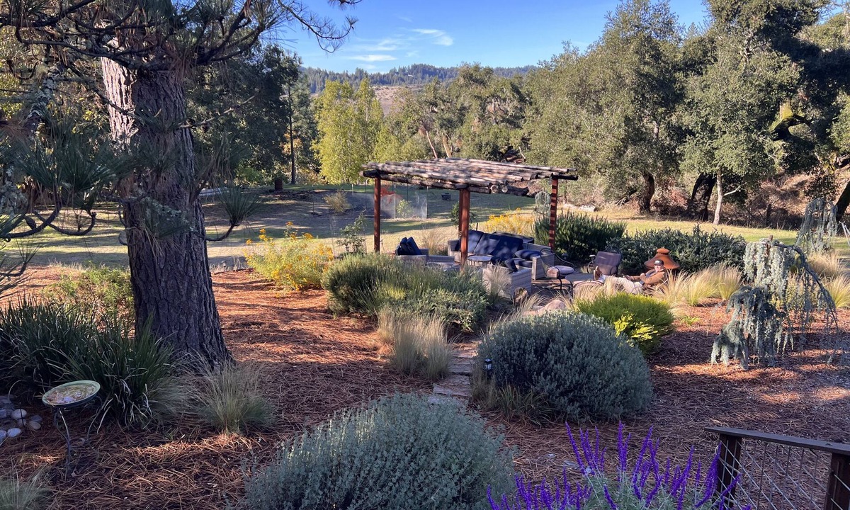 Ben Lomond House | Central Coast , Meadow, Great Roads, Wildlife, Hot-Tub, Polite Pets Welcome