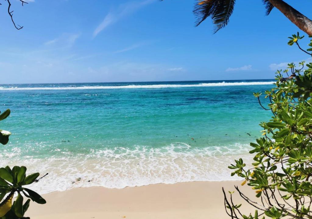 Anse Forbans Ski Chalet | Chalets d'Anse Forbans SelfCatering