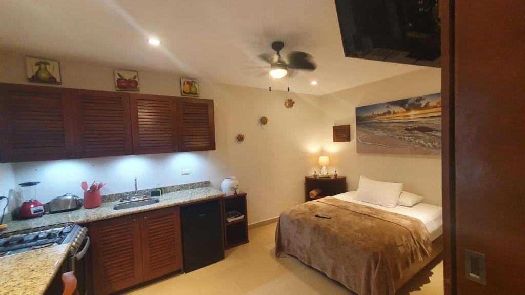 Centro - Supmza 001 Apartment | Coralito Malecon Luxury Studio
