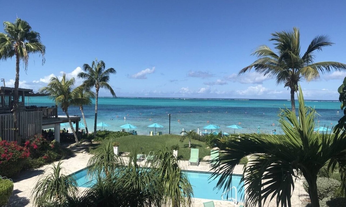 The Bight Condo | Grace Bay Beachfront:Tropical Reef 50 Feet Offshore.