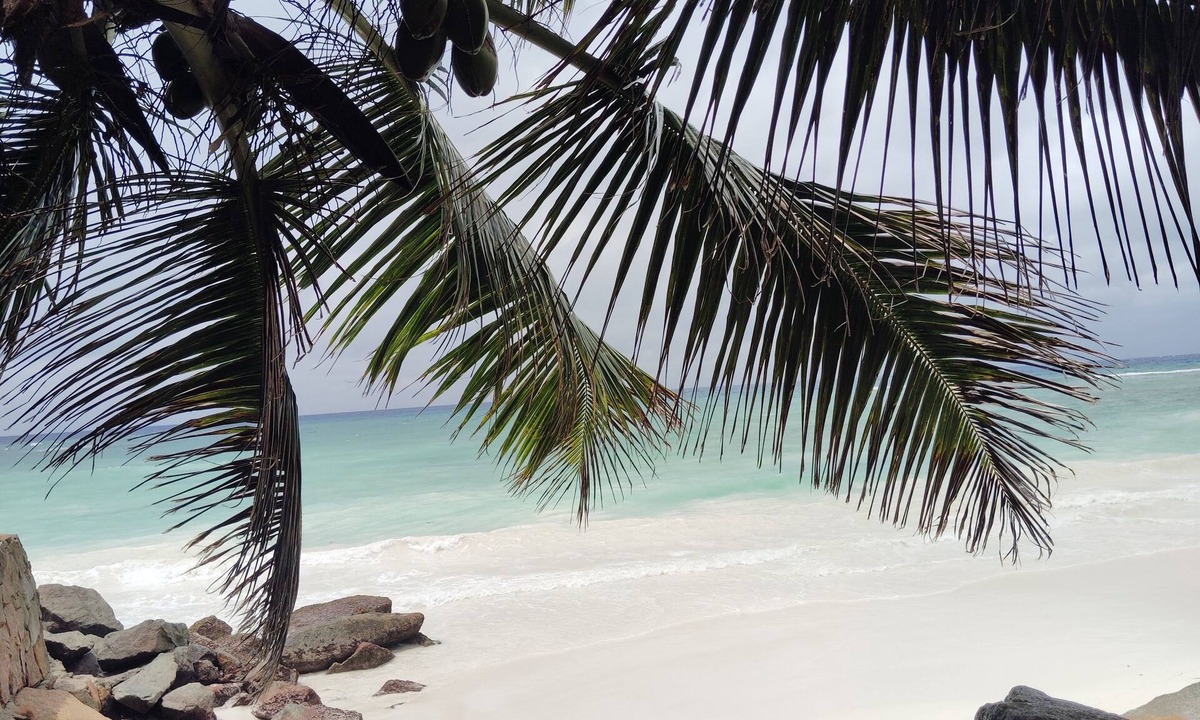 Anse Kerlan House | Ideal little semi-detached bungalow on Praslin island located on the coast.