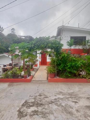 Mahe Island Villa | Papaya Guesthouse