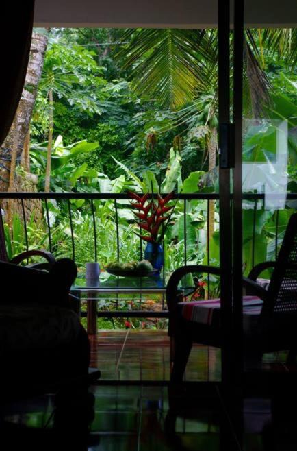 Mahe Island House | PAPAYAS SELF catering ROOM