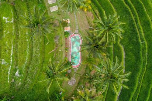 Wongaya Gede Cabin | Pesona Bali Ecolodge by AGATA