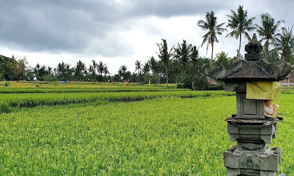Kemenuh Villa | RC Ubud Villa 2 - 3 bedroom private pool villa