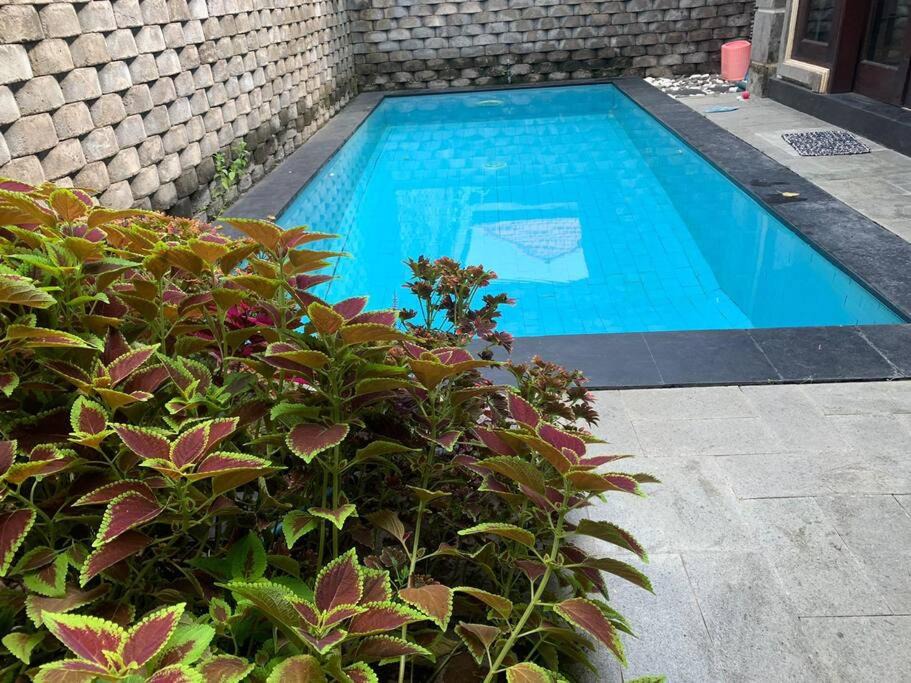 Padangsambian Klod Villa | Serenity Villa / Lovely private 2BR Pool Villa