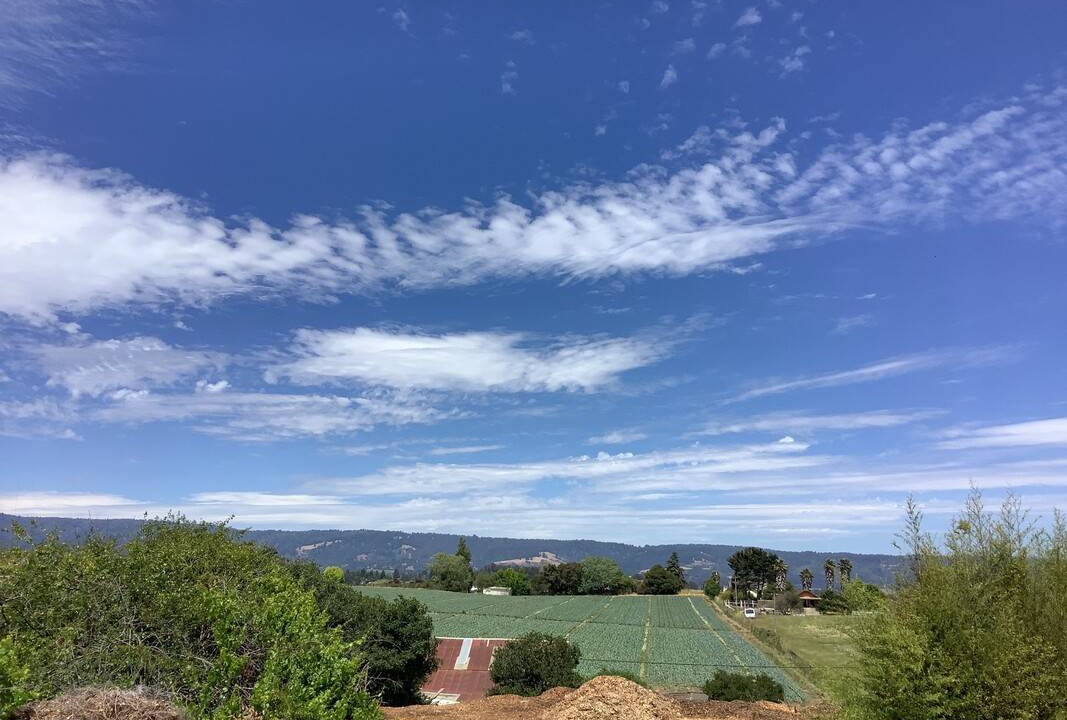 Aptos Hills-Larkin Valley Resort | Private room ∙ 2 guests