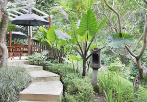 1 Bedroom Suite Room in Ubud Valley, an Atmosphere to not miss!