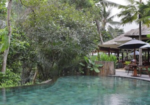 1 Bedroom Suite Room in Ubud Valley, an Atmosphere to not miss!