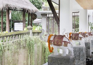 1 Bedroom Suite Room in Ubud Valley, an Atmosphere to not miss!