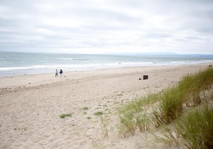 Beach Condo Shorebirds 11