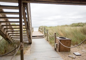Beach Condo Shorebirds 11