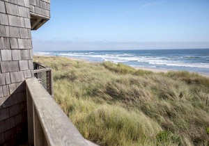 Beach Condo Shorebirds 22