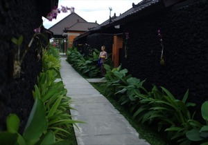 Beautiful Villa with Private Pool overlooking to Rice Field