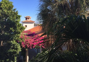 Charming and newly refreshed Studio, In The Heart Of Paradise,