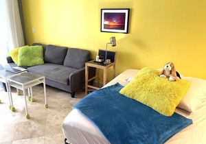 Charming and newly refreshed Studio, In The Heart Of Paradise,