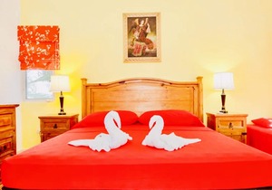 Executive Budget Room With Swimming Pool Air Conditioning and Parking