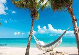Luxury Condo with Ocean & Pool View at Long Bay Beach