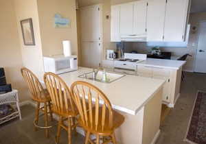 Ocean Front Condo Shorebirds 196