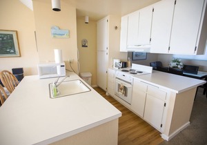 Ocean Front Condo Shorebirds 196