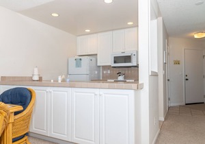 Ocean Front Condo Shorebirds 51