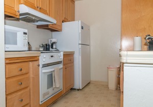 Ocean Front Condo Shorebirds 71