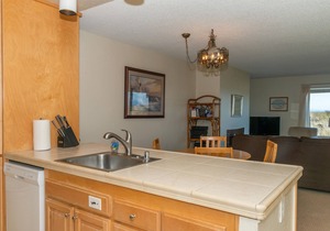 Ocean Front Condo Shorebirds 71