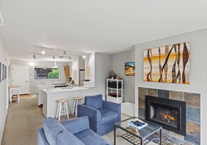 Ocean Front Condo Shorebirds 55