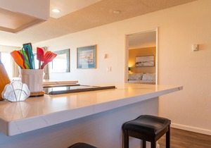 Ocean Front Condo Shorebirds 187