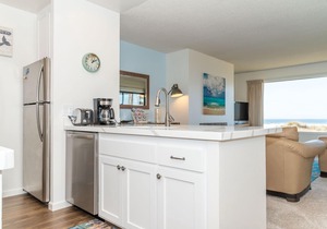 Ocean Front Condo Shorebirds 187