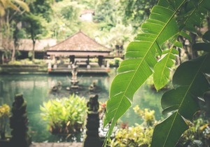 Rent a Luxury Villa in Bali Close to the Beach, Bali Villa 2035