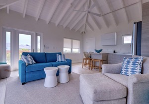 Vision Kite - Longbay Beach House