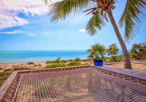 Vision Kite - Longbay Beach House