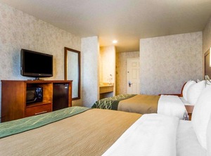 Comfort Inn Watsonville | Las Lomas