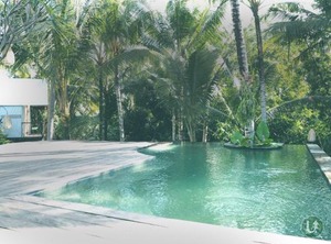 Ubud Valley Atmosphere | Andong
