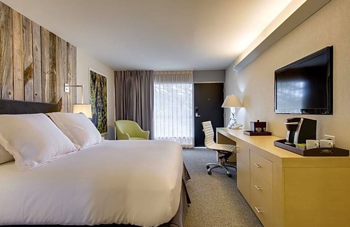 Westside Santa Cruz Hotel | 4-Star Hotel ∙ Hotel Paradox, Autograph Collection