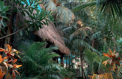 Isla Holbox Other | Camping ∙ 8 guests