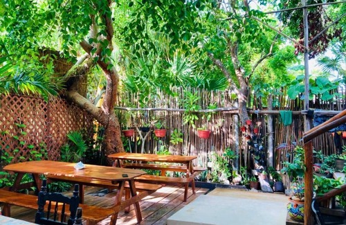 Downtown Holbox Hostel | Hostal Casa Holbox