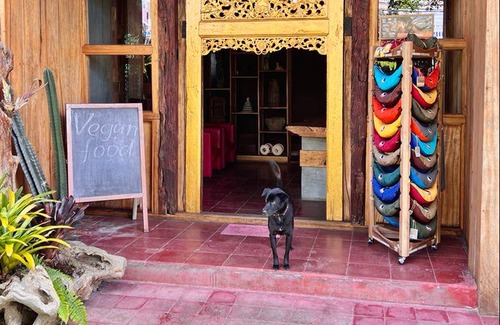 Candikuning Hostel | Hostel ∙ 8 guests