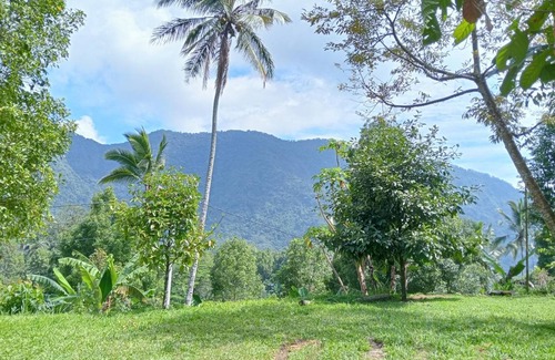 Sawan House | House ∙ 2 guests