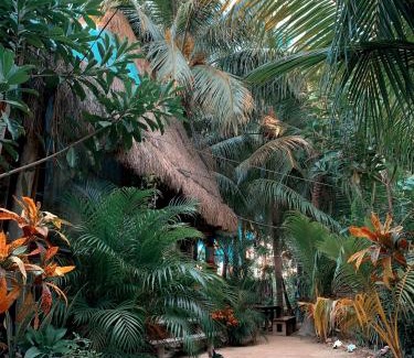 Downtown Holbox Hostel | Kin Hostal and Camping