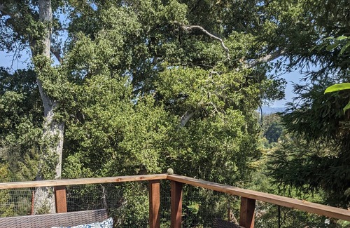 Rio del Mar Apartment | Relax and unwind minutes from the beach