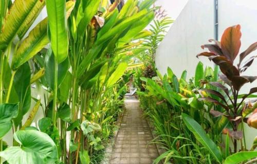 Ubud Villa | Rendira villa 2