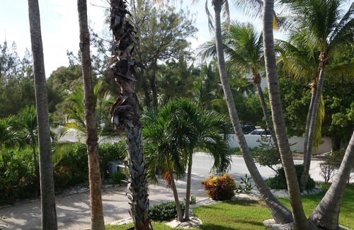 Grace Bay Apartment | South Fleetwood Grace Bay