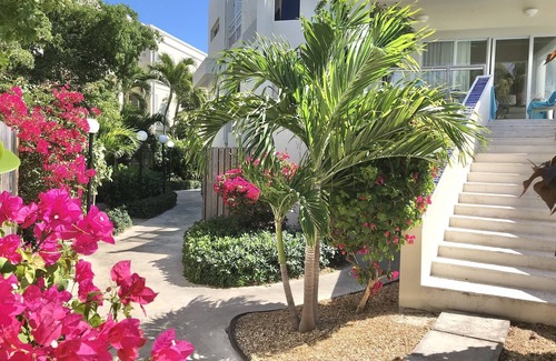 The Bight House | White House beachfront villa at Coral Gardens snorkeling reef