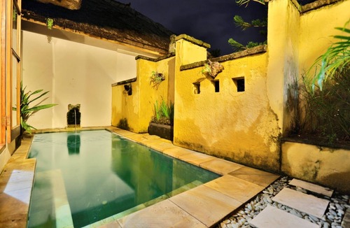 Penatih Villa | 1 BR Villa near Ubud with kitchen, private plunge pool, paddy fields view