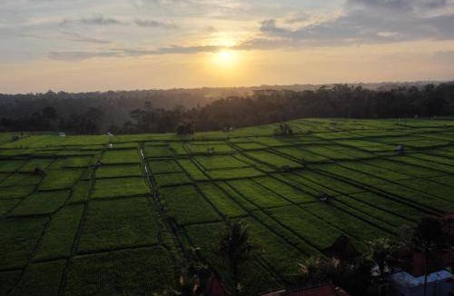 Payangan Villa | 350 m² Villa ∙ 2 bedrooms ∙ 4 guests