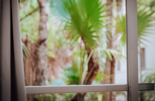 Benito Juarez House | A full of love Jungle Hotel where everything is connected with nature