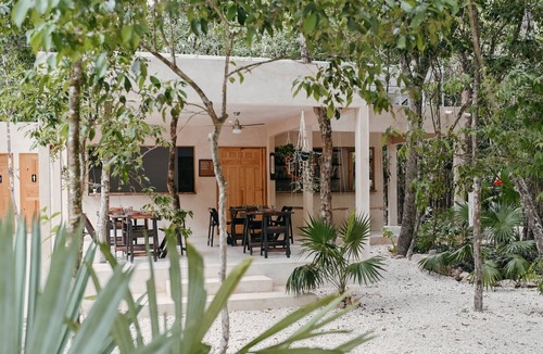 Benito Juarez House | A full of love Jungle Hotel where everything is connected with nature