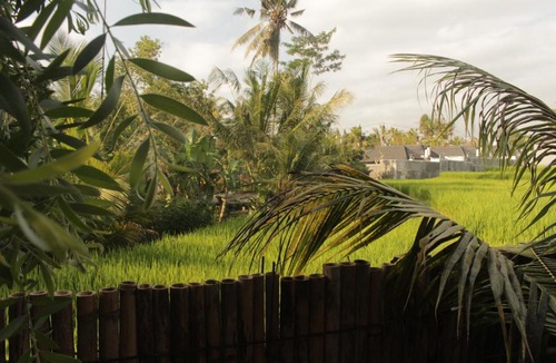 Sambahan Bed & Breakfast | Ancut Sari villa